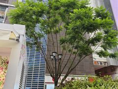 -观音桥步行街