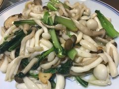 榄油菌菇-以前的小酒馆(中山广场店)