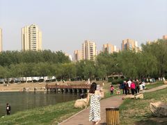 -丁香湖公园