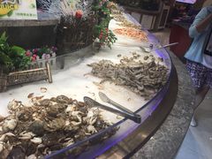 -九寸花汀(摩天活力城店)