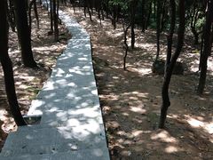 -火炉山森林公园