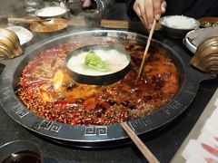 -渝大狮毛肚老火锅(普陀店)