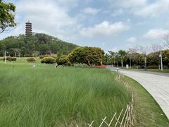 -红花山公园