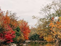 -上海吴淞炮台湾国家湿地公园
