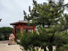 -五龙城郊森林公园