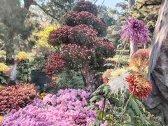 -香山公园-东宫门售票处