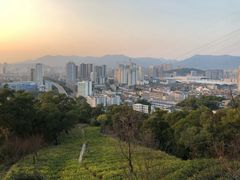 -金鸡山公园