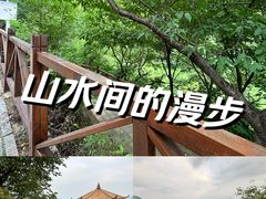 -大岭沟猕猴桃谷风景区