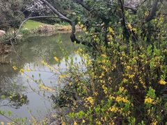 -桃花岛景观公园