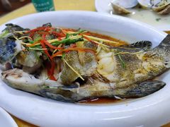 清蒸石斑鱼-板桥海鲜广场(文明东店)