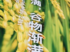 -小满手工粉(北京顺义华联店)