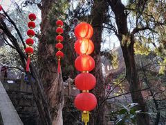 -昆明市金殿名胜区