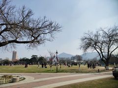 -玄武湖景区-情侣园游乐场