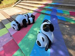 -宝岩生态观光园