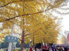 -辽宁大学(崇山校区)