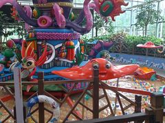 -南宫五洲植物乐园