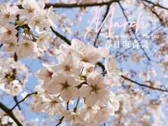 -龙美术馆(西岸馆)