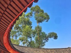 -广东圆玄道观