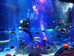 -沈阳海洋探索中心