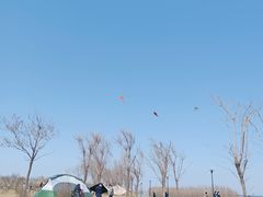 -东堤公园