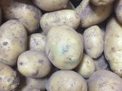 -青岛利群四方购物广场