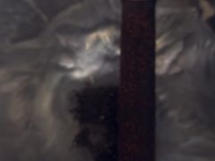 -Hi City·城市之巅