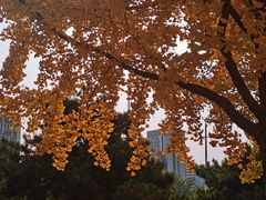 -玲珑塔公园