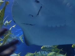 -太平洋海底世界