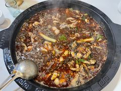 -大江美蛙鱼火锅(都江堰店)
