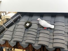 -庆余楼·用心与食材·特色菜&灶头面(仙蠡墩店)