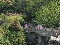 -陶祖圣境风景区