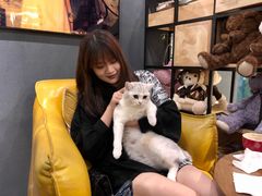 -咖法森林·咖啡  酒吧(天河店)