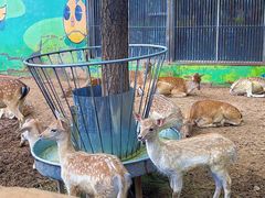 -鄂尔多斯野生动物园