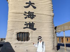 -哈密雅丹大海道景区