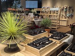 -春晖园度假酒店温泉