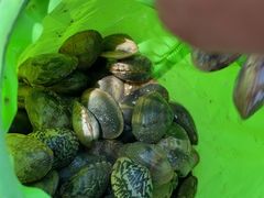 -天津东疆湾沙滩景区