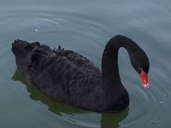 -泰安地下龙宫景区