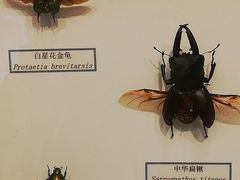 -浙江自然博物院(杭州馆)