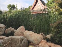 -七彩云南古滇温泉山庄