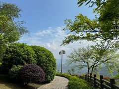 -铁山坪森林公园