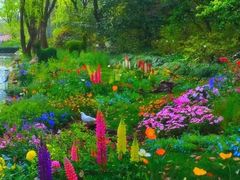 -上海共青森林公园