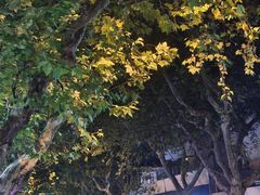 -安福路