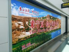 广告-银川河东国际机场