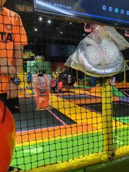 -蹦蹦跳跳(新奥购物中心店)