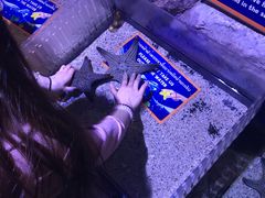 -暹罗海洋世界