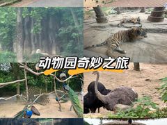 -杭州野生动物世界