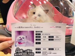 -屋虎猫馆(宝安大仟里店)