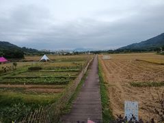 -艾米稻香小镇