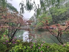 -岳麓山风景名胜区