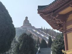 -龙口南山旅游景区